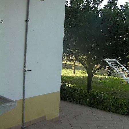 Perara *